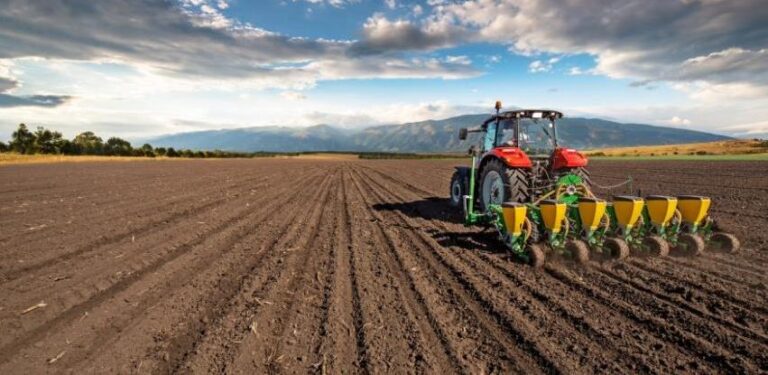 Visoke temperature ne idu naruku ratarima i voćarima