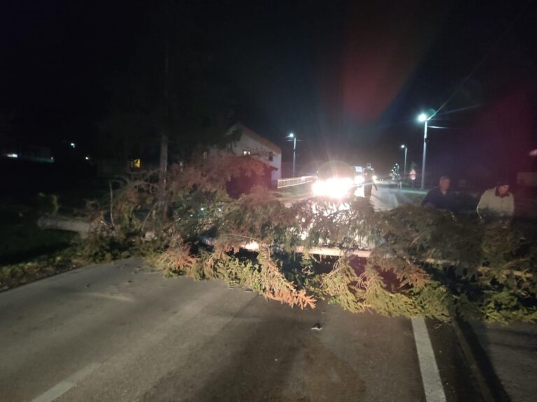 ŽEPČE: Jak vjetar oborio stablo na magistralni put