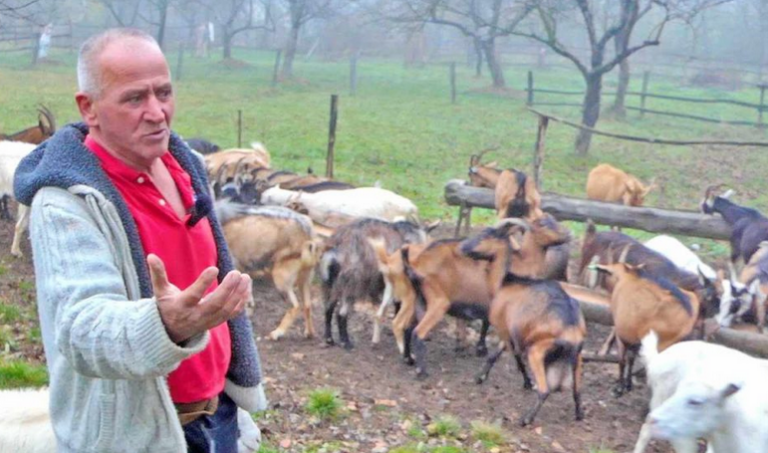 Kemal (65) se ne može načuditi današnjoj omladini: “Ovi današnji momci od 25 i 30 godina izgledaju starije od mene, a ništa neće da rade” (VIDEO)