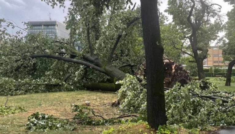 Stiglo upozorenje na olujni vjetar BiH “Budite spremni na smetnje, rizik za povrede od iščupanih stabala i krhotina”