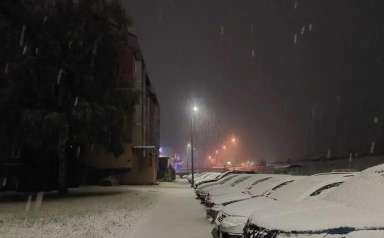 NAŠI | Resursi Oružanih snaga BiH raščišćavaju putne komunikacije