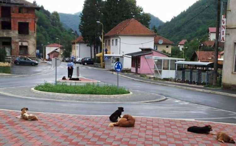 Srebrenica – grad bez ljudi, grad zatvorenih prodavnica, pogona i zanatskih radnji