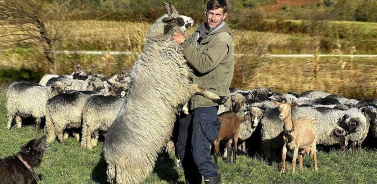 Mladi čoban Sanel: Odlazak iz BiH je trend kome se treba stati na put