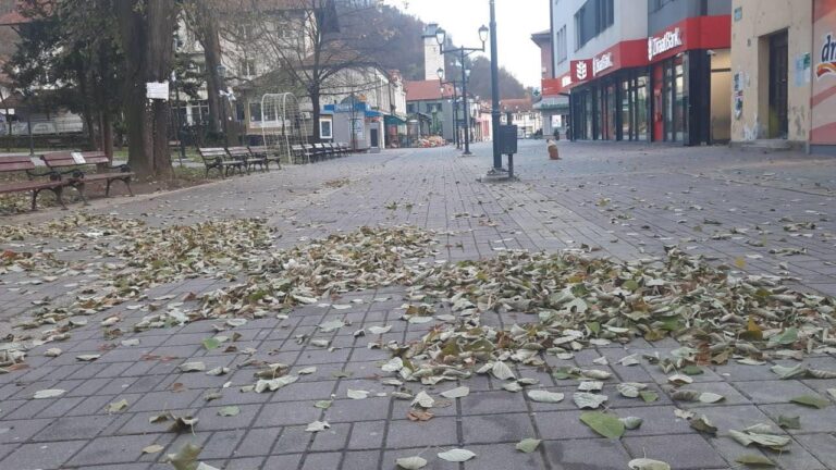 Olujni vjetar koji je jutros puhao oborio nekoliko crijepova