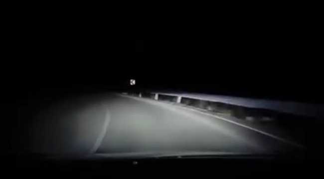 Video kruži internetom: Medvjed iskočio ispred vozača na putu u BiH