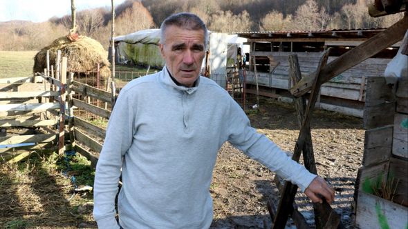 Jusufu Neziroviću rastrgano 27 ovaca: “Od ovog se hranimo moja djeca i ja”