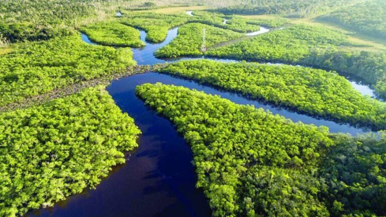 Globalno zagrijavanje primarni uzrok suše u Amazoniji prošle godine
