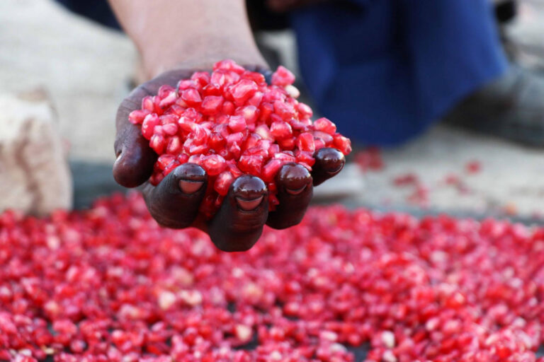 Ovo voće jedite dok ga još ima: Vaš organizam će na tome biti zahvalan, evo i zašto