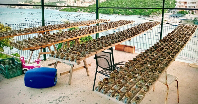 Unosan biznis vatrogasca iz Neuma: Jedan komad vrijedi 1,5 KM