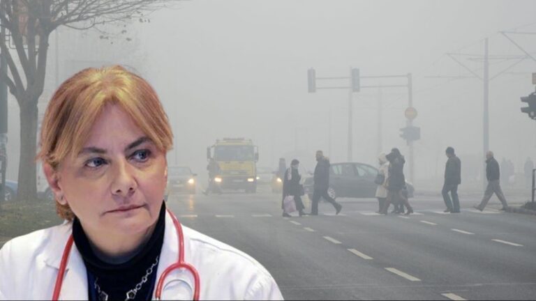 Akademik Senka Mesihović-Dinarević: Zagađenje zraka može izazvati oštećenje srca