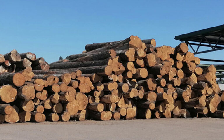 Vlasnik pilane prijetio šumarskom inspektoru nakon što mu je oduzeo oko 500 kubnih metara šume