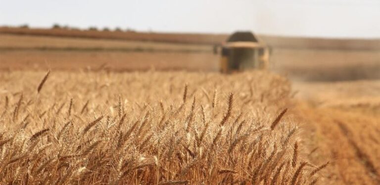 Iz najveće bh. žitnice upozorili: Ostajemo bez hrane!