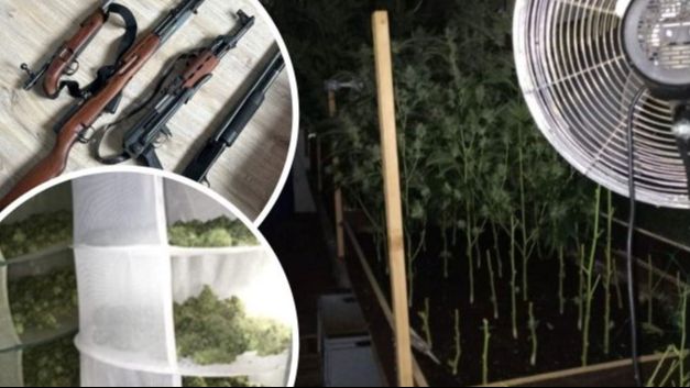 Velika akcija austrijske policije: Otkrivena plantaža kanabisa, uhapšen državljanin BiH (46)