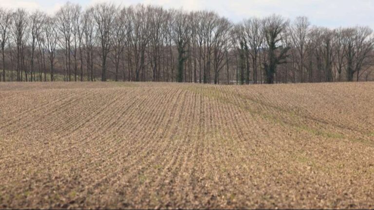 BiH uvozi više od dvije trećine potrebnih poljoprivredno-prehrambenih proizvoda