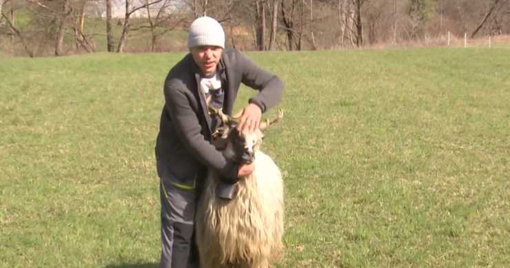 Pastir (20) od malih nogu, posebno ponosan na jednu ovcu: “Gledaj?! K’o Lidija Vukičević”