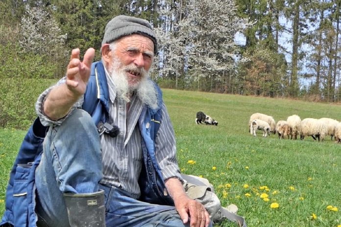 Najstariji ovčar u BiH: 91-godišnjak planira još mnogo toga