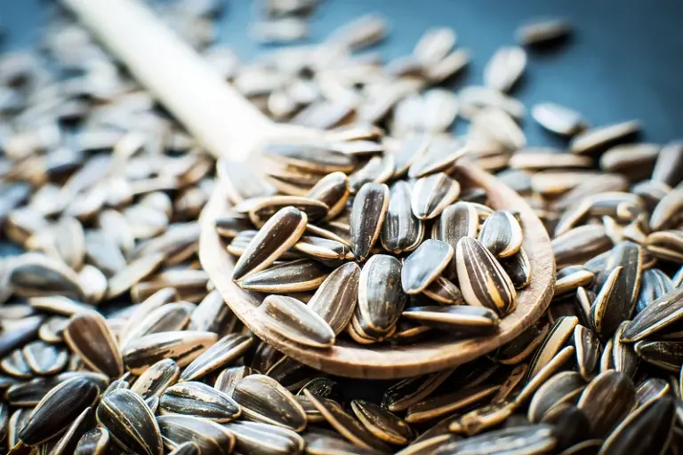 Kako vam suncokretove sjemenke mogu pomoći u naporima da smršavite