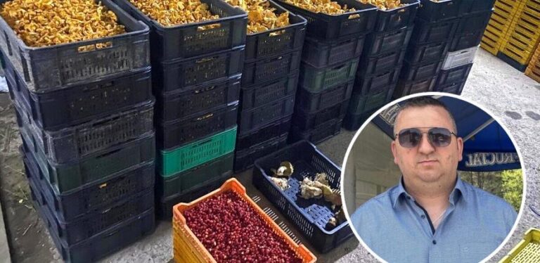Porodica Habib godišnje otkupi oko 300 tona raznih plodova – spremni su za novu sezonu