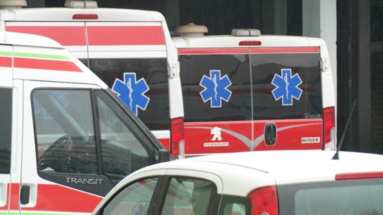 Pas ujeo dijete – amputiran mu prst