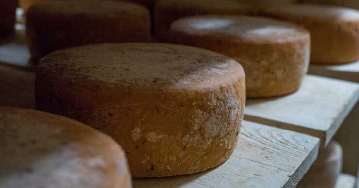 Taste Atlas uvrstio dva sira iz BiH među najboljih 100 na svijetu