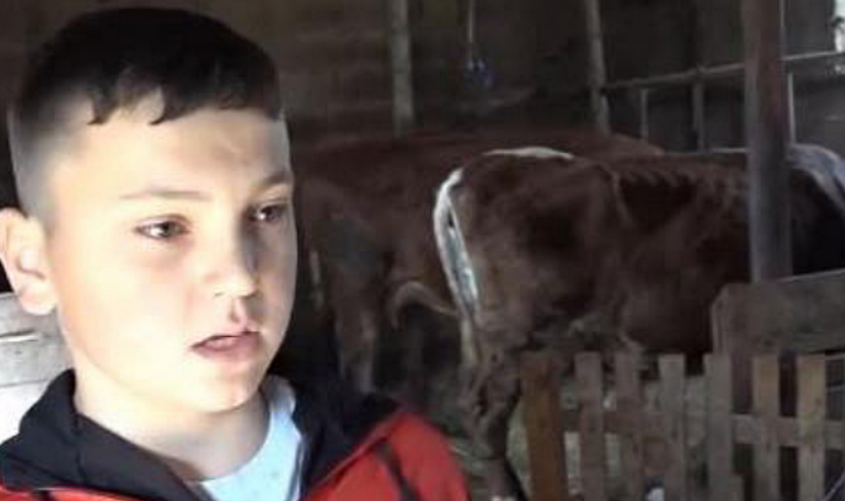 Dječak iz BiH je glava kuće nakon smrti oca, od četvrte godine vozi traktor: Ništa mi nije teško