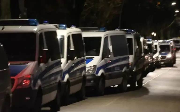 U Njemačkoj uhpšena braća iz BiH: Krijumčarili pištolje i vojno naoružanje