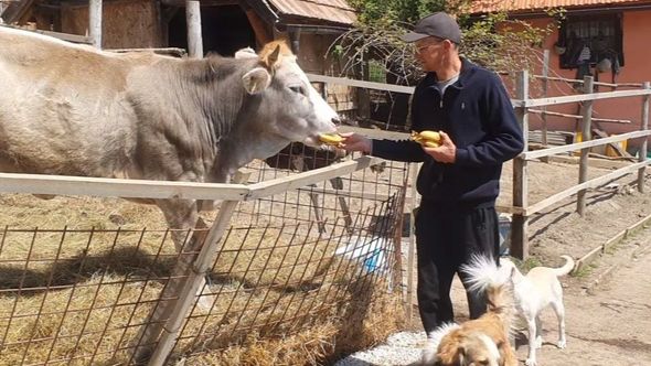 Zeničanin spasio stotine životinja od sigurne smrti: Što se više družim sa životinjama, sve manje volim ljude