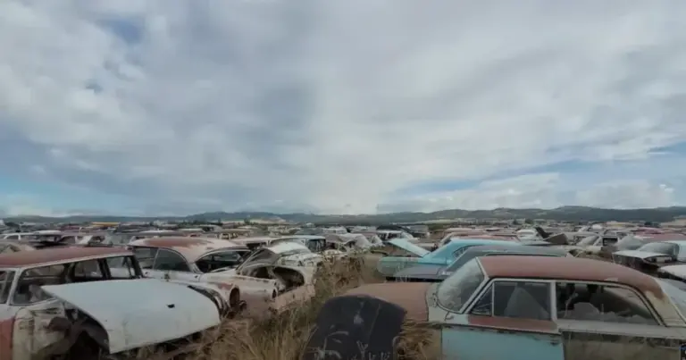 Najveće groblje automobila na svijetu puni se već 50 godina