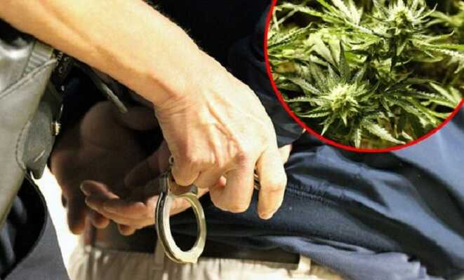 Zeničanin uhvaćen sa marihuanom, uhapšen je!