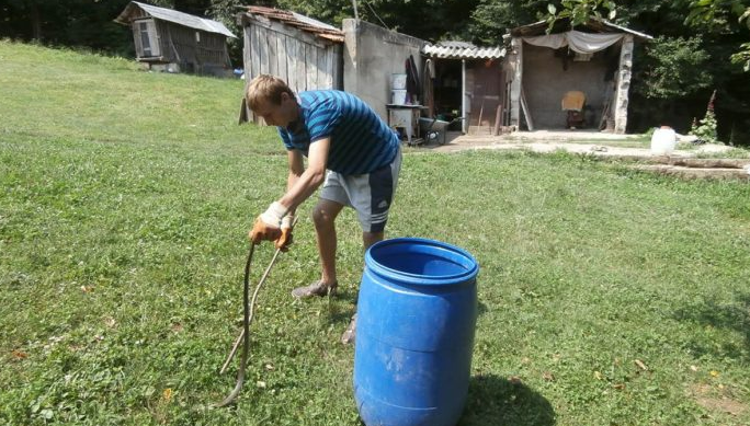 Sunce ih izmamilo: Na izletištu snimljeno pet poskoka, najotrovnijih zmija u BiH