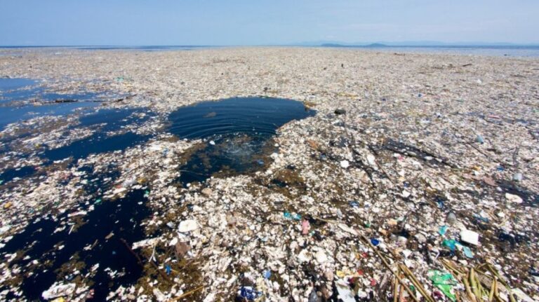 Ubijeno 44 novinara koji su izvještavali o okolišu