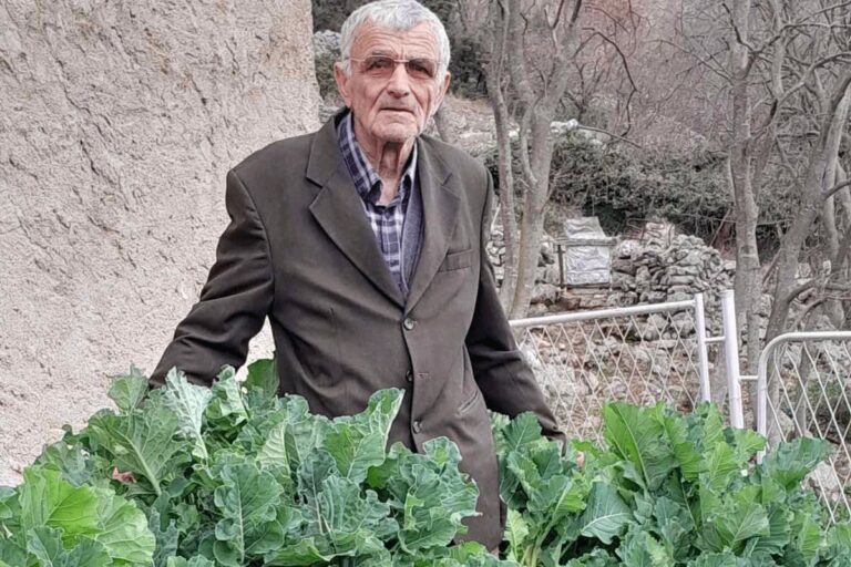 Simo (90) svoje zdravstvene probleme, kako kaže, liječi radom i zelenim kupusom