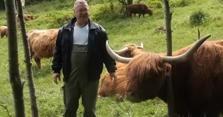 Škotska goveda na farmi nadomak Jajca: Daju vrhunsko meso, a jedu samo travu i sijeno
