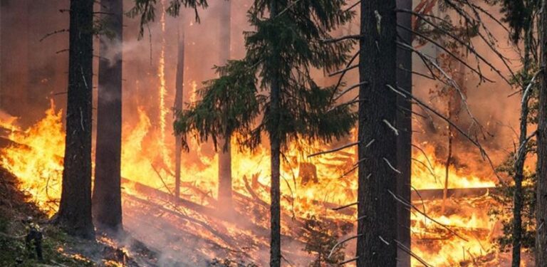 Sezona suša i požara dolazi, u BiH rješenje još uvijek “ručno” gašenje