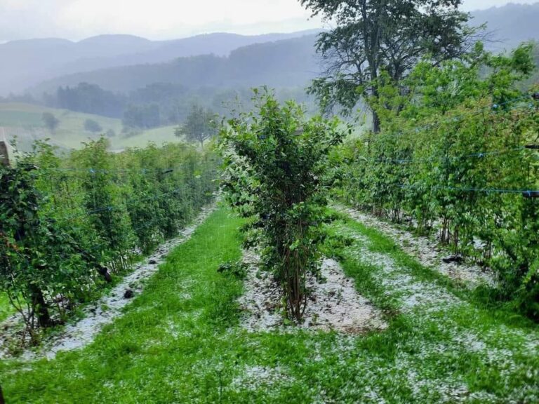 Jako nevrijeme sa ledom između Zenice i Fojnice (FOTO)