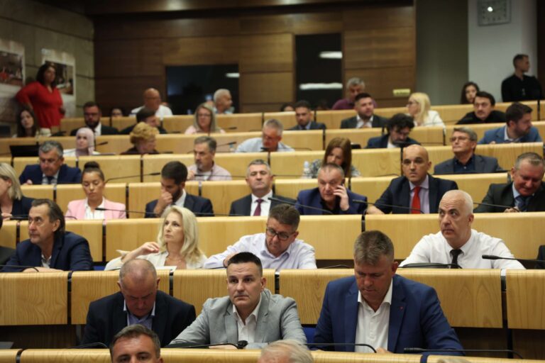 Iz NES-a razriješili dileme: Mi nećemo glasati za Vukoju