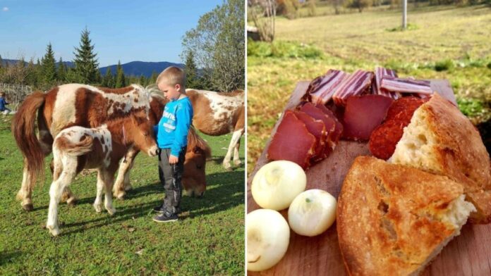 Ruralni turizam: Svakodnevnica jednog seljaka je nečiji san o odmoru