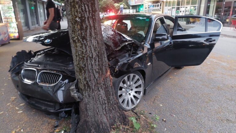 BMW-om zabio u stablo