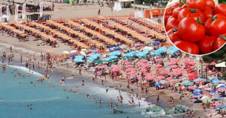 ELITNI PARADAJZ TURISTA Ibro snimio šta jede na plaži, ljudi oduševljeno komentarišu