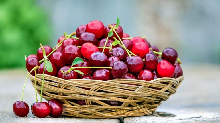 Višnje i trešnje nisu samo poslastica: Čuvaju srce, djeluju na hronične bolesti i obiluju vitaminima