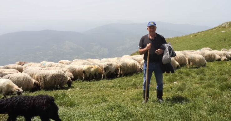 U dolinama pakleno, na Vlašiću bilo mraza, šta kažu ovčari?