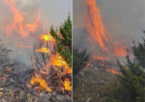 Paklene vrućine tek slijede, a u Hercegovini već gori: Požari na više lokacija, vatrogasci na terenu