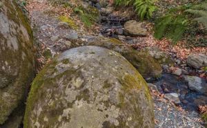 Misteriozne Legende Bosne i Hercegovine: Priče Koje i Danas Fasciniraju