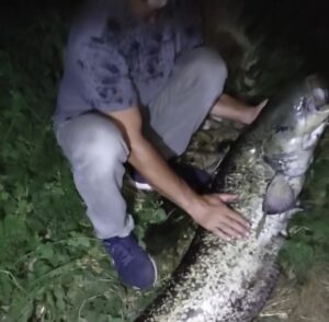 Nesvakidašnji ulov u Vranduku kod Zenice