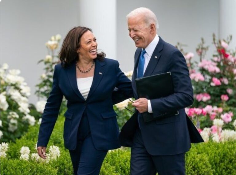 Iako je Biden podržao Harris, nije kraj priče. Ovo su ostali kandidati