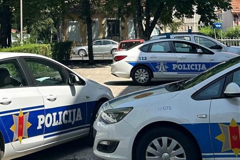 U Crnoj Gori uhapšen Srbijanac zbog otmice vanbračne supruge, ona pronađena s vidnim povredama