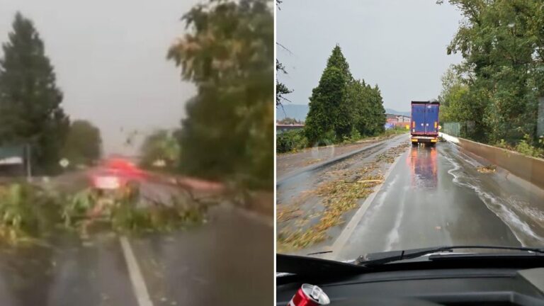 Snažno nevrijeme u Doboju: Vjetar lomio stabla i grane, otežan saobraćaj