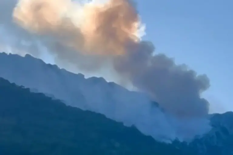 Ilidžanski vatrogasci rano ujutro idu na Zelengoru da gase požar