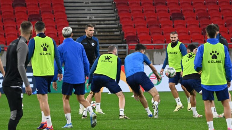 Barbarez skratio spisak za utakmicu protiv Mađarske, dvojica završila na tribinama