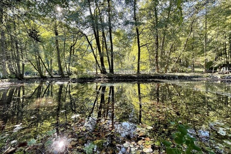 Narednih dana sunčano uz umjerenu oblačnost, dnevna temperatura od 18 do 27 stepeni
